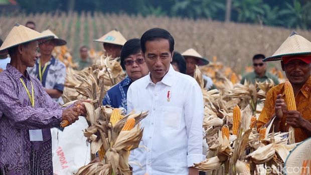 Presiden Jokowi di Tuban, Jawa Timur