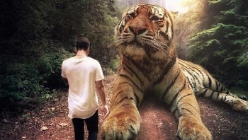 Berpapasan dengan harimau. (Foto: Ebenism)