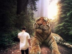 Ketika Para Hewan Raksasa Berhadapan dengan Manusia