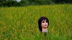 Foto: Lihat Lagi Manekin Penjaga Sawah di Jepang