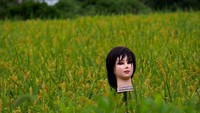 Sebenarnya, sejak tahun 2015 silam sudah ada penjaga sawah yang tak kalah menyeramkan di sawah-sawah di wilayah Kobe. Berupa, potongan kepala manekin! (Dennis Doucet/CNN Travel)