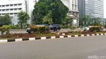 Melihat Bekas Lokasi Pohon yang Dipindahkan dari Sudirman-Thamrin