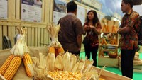 Ada juga komoditi unggulan seperti jagung. Foto: dok. Wapres JK