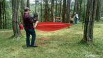 Foto: Hutan Pinus Instagramable dari Ciamis