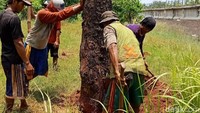Pantauan detikcom pukul 12.20 WIB, terlihat enam pekerja di lokasi yang sedang melakukan proses pengerjaan (Foto: Eva Safitri/detikcom)