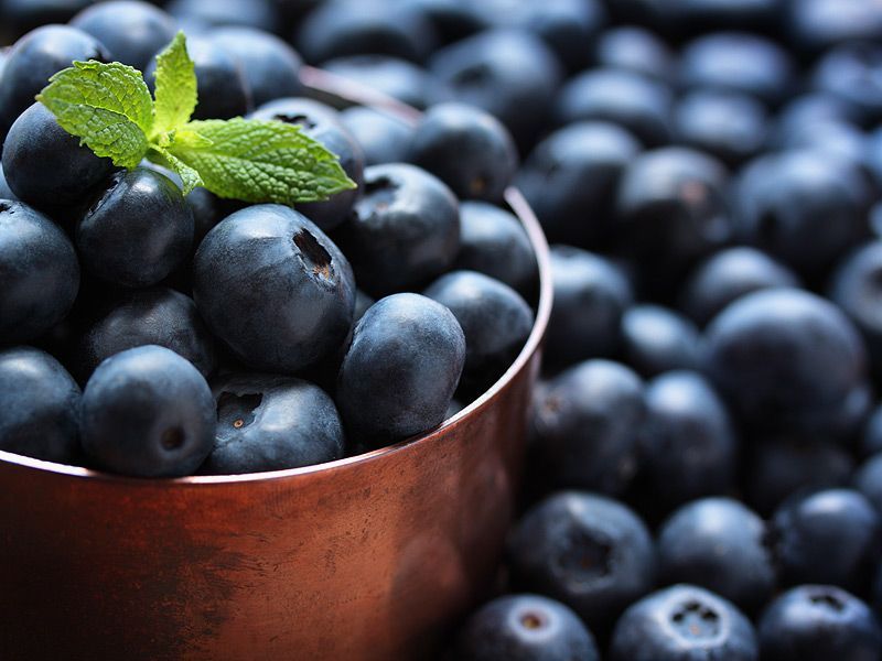 Bukan Sembarang Lapisan, Bubuk Putih pada Blueberry Ini Punya Fungsi Penting