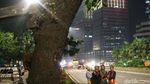 Begini Proses Pemindahan Pohon di Sudirman-Thamrin