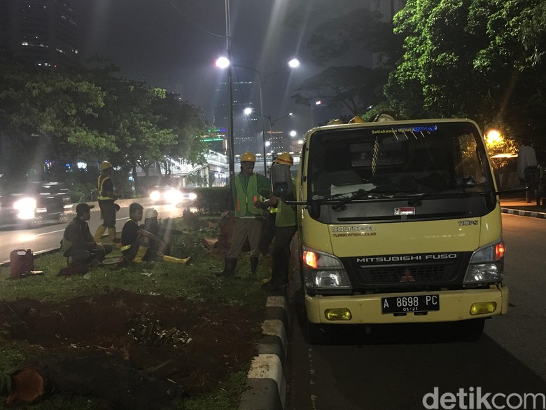 Pohon di Sudirman-Thamrin Mulai Dipindah Sejak Minggu Lalu Pohon di Sudirman-Thamrin Mulai Dipindah Sejak Minggu Lalu