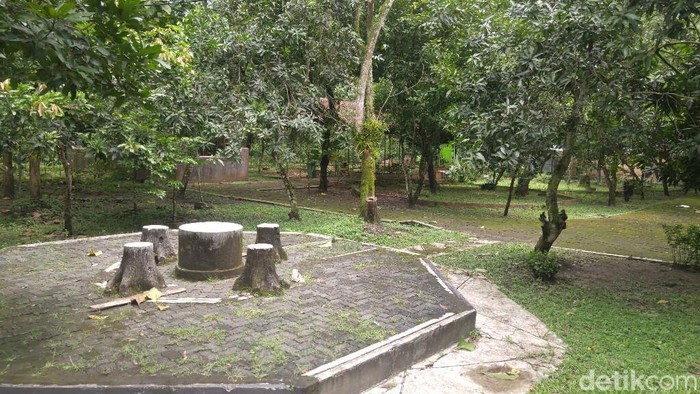 Suasana Hutan Wisata Tinjomoyo yang dulu pernah menjadi kebun binatang, Semarang, Jumat (9/3/2018).