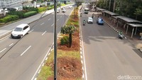 Foto: Pohon-pohon ini dipindahkan, Kamis (8/3/2018) semalam. (Wildan-detikcom)