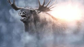 Bermain di danau bersalju. (Foto: Ebenism)