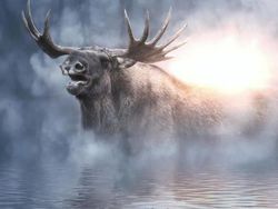 Ketika Para Hewan Raksasa Berhadapan dengan Manusia