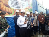 RI Masih Impor Jagung, Kok Malah Mau Ekspor?
