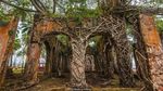 Foto: Ross Island, Pulau Hantu yang Bangunannya Dimakan Hutan