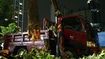 Begini Proses Pemindahan Pohon di Sudirman-Thamrin