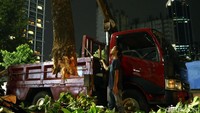 Ada 10 petugas yang melakukan pengangkatan pohon. Mereka menggunakan dua gergaji mesin dan disediakan dua truk untuk kemudian langsung dibawa ke Taman BMW.