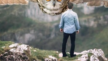 Siap terbang bersama. (Foto: Ebenism)