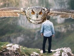 Ketika Para Hewan Raksasa Berhadapan dengan Manusia