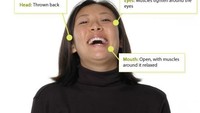 Jawabannya adalah ekspresi murni terhibur. Ketika kita terhibur mulut kita cenderung terbuka dengan senyuman atau tawa sambil kepala sedikit tertarik ke belakang. Mata juga berkontraksi sehingga mungkin terlihat lebih sipit. (Foto: greatergood.berkeley.edu)