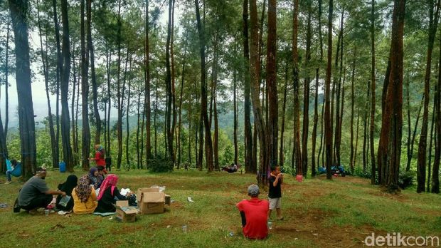 (Dadang/detikTravel)