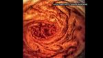Foto Planet Jupiter Diwarnai Badai Berdiameter Ribuan KM