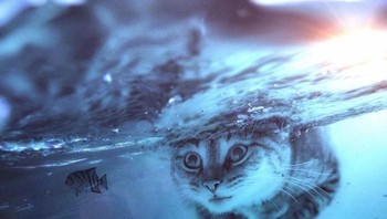 Menurutnya hewan memiliki naluri membimbing dan melindungi umat manusia yang kerap kali membawa dunia pada kekacauan. (Foto: Ebenism)