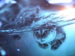 Ketika Para Hewan Raksasa Berhadapan dengan Manusia