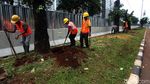 Akhir Pekan, Pemindahan Pohon Sudirman-Thamrin di Siang Hari
