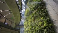 Ada kucuran air yang mengalir melalui tumbuhan yang merambat di dinding. Foto: Dok. Fortune.