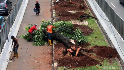 Akhir Pekan, Pemindahan Pohon Sudirman-Thamrin di Siang Hari