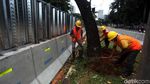 Akhir Pekan, Pemindahan Pohon Sudirman-Thamrin di Siang Hari