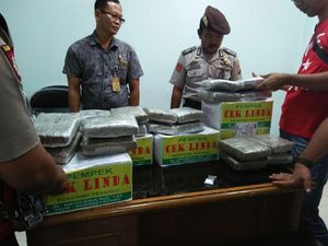 Petugas Bandara Palembang Gagalkan Penyelundupan 20 Kg Ganja