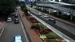 Akhir Pekan, Pemindahan Pohon Sudirman-Thamrin di Siang Hari