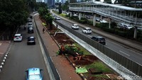 Wakil Gubernur DKI Jakarta, Sandiaga Uno menyebut pemindahan pohon itu merupakan bagian dari panataan kawasan Sudirman-Thamrin. Dia memastikan kawasan Sudirman-Thamrin akan tetap teduh.