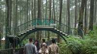 Selain bernuansa hutan, LaLaLa Festival 2018 ini juga menyuguhkan tempat makan dengan nuansa alam dengan cuaca yang cukup cerah.  Foto: Veynindia Esaloni Pardede