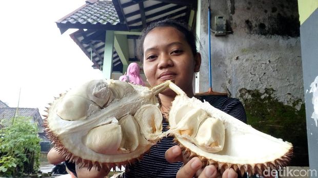 Unduh 6500 Gambar Durian Kendil Paling Baru 