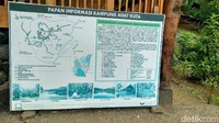 Mitos mistis soal aturan untuk masuk ke hutan seluas 40 hektare ini yaitu tidak menggunakan alas kaki, tidak boleh memakai perhiasan, jangan menggunakan baju serba hitam dan dilarang menggunakan seragam terutama mengenakan pangkat (Dadang/detikTravel)