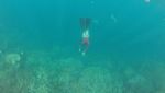 Foto: Laut di Kupang yang Sempat Tercemar Sampah Selama 30 Menit