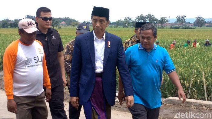 Foto: Sudirman Wamadi/detikFinance Foto: Sudirman Wamadi/detikFinance