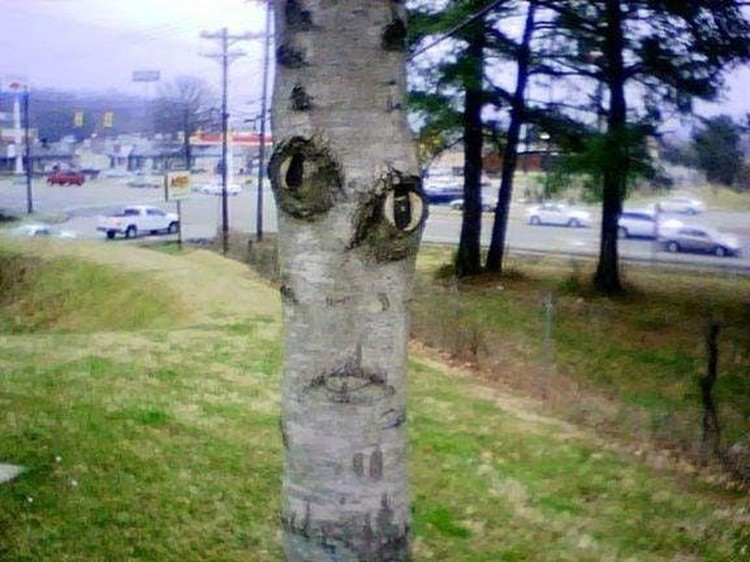 Pareidolia Twitter: FacesPics