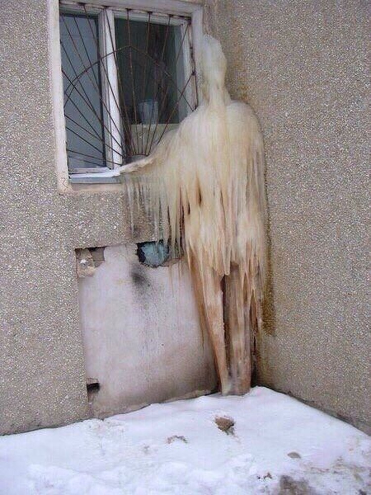 Pareidolia Twitter: FacesPics