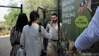 Foto: Traveler akan diajak melihat fauna secara langsung di alam liar. Ada pagar pembatas yang memisahkan antara fauna dan pengunjung (Randy/detikTravel)