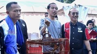Dalam lomba yang digelar di Kebun Raya Bogor, Jokowi menyertakan burung murai batu (Copsychus malabaricus) miliknya. (Foto: Rusman/Biro Pers Setpres)