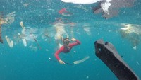 Sampah yang mengapung di laut tak hanya mampir di Nusa Penida, tapi juga Laut Kupang. Tepatnya di Perairan Dermaga Fery di Bolok. (Ernez/dTraveler)
