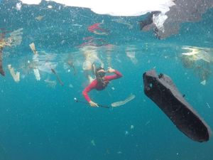 Sampah di Laut Bali Pindah ke Kupang?