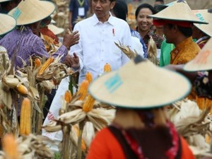 Kredit BNI, Genjot KUR Melalui Program Perhutanan Sosial