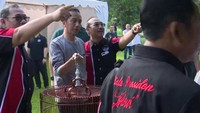 Namun, burung milik Jokowi kalah dalam perlombaan ini. (Foto: Biro Pers Setpres)