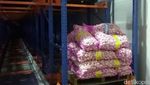 5 Ton Bibit Bawang Putih Disegel Kemendag