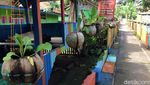Penuh Warna di Kampung Buricak Burinong