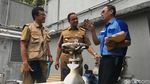 Foto: Saat Anies Sidak Sumur Resapan di Sari Pan Pacific